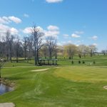 green grass with the flag in the hole.