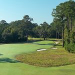 green grass with the flag in the hole.