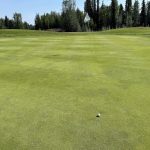 green grass with the flag in the hole.
