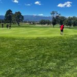 green grass with the flag in the hole.