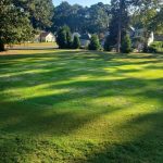 green grass with the flag in the hole.
