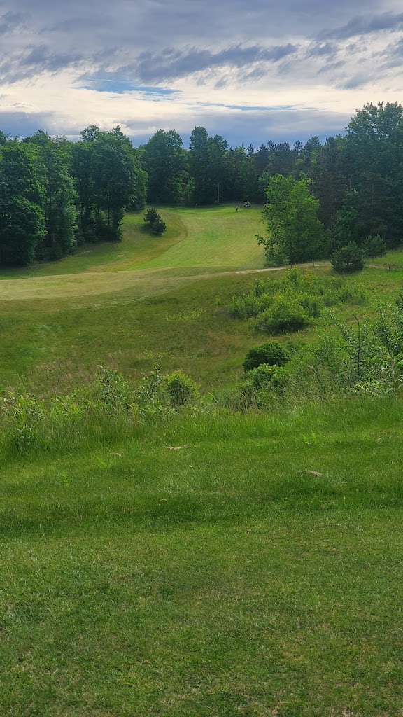 Panoramic view of a lush green golf course at Chestnut Hills Golf Course. Smooth