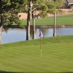 green grass with the flag in the hole.