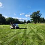 green grass with the flag in the hole.
