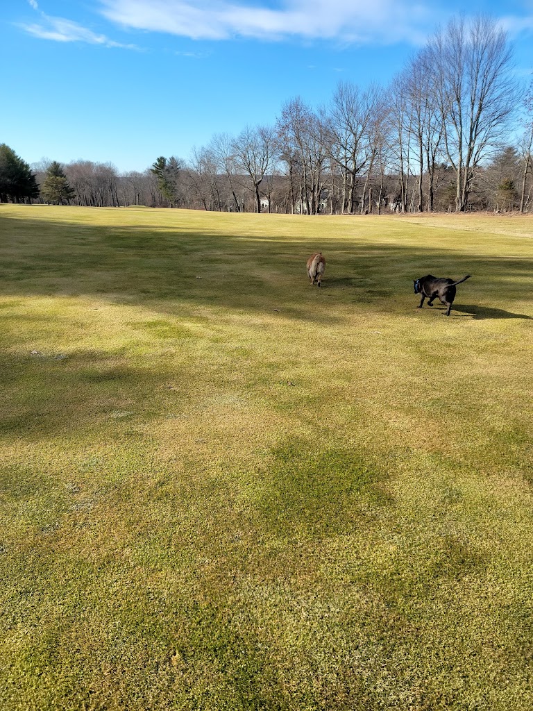 Panoramic view of a lush green golf course at Chippanee Golf Club. Smooth