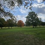 Panoramic view of a lush green golf course at Chippendale Golf Course. Smooth