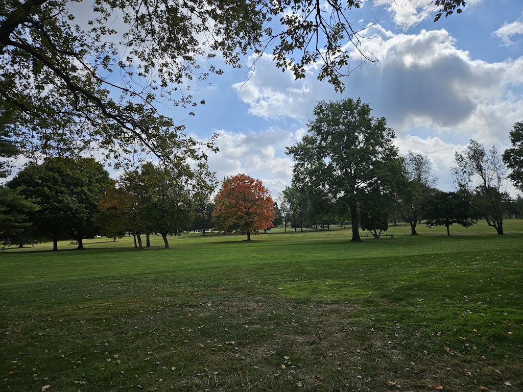 Panoramic view of a lush green golf course at Chippendale Golf Course. Smooth