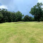 green grass with the flag in the hole.