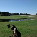 green grass with the flag in the hole.