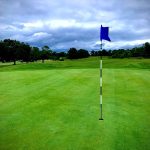 green grass with the flag in the hole.