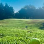 green grass with the flag in the hole.