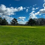 green grass with the flag in the hole.