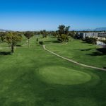 green grass with the flag in the hole.