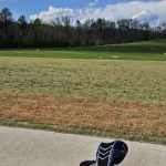 green grass with the flag in the hole.