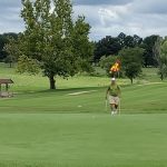 green grass with the flag in the hole.