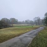 green grass with the flag in the hole.