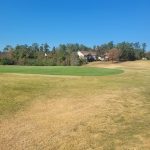 green grass with the flag in the hole.