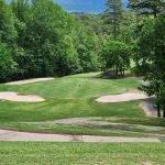 green grass with the flag in the hole.