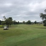 green grass with the flag in the hole.