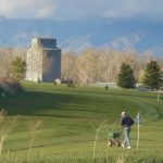 green grass with the flag in the hole.