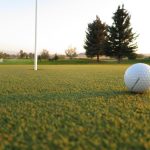 Panoramic view of a lush green golf course at Cottonwood Hills Golf Club. Smooth