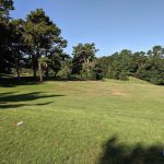 green grass with the flag in the hole.