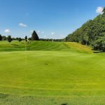 green grass with the flag in the hole.