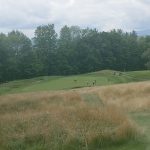 Panoramic view of a lush green golf course at Country Club of Barre. Smooth