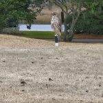 green grass with the flag in the hole.