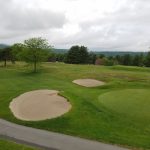 green grass with the flag in the hole.
