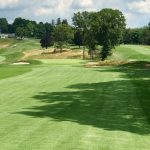 green grass with the flag in the hole.