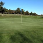 green grass with the flag in the hole.