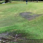green grass with the flag in the hole.