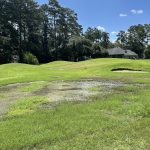 Panoramic view of a lush green golf course at Covington Country Club. Smooth