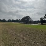green grass with the flag in the hole.