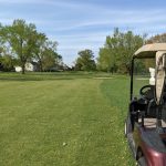 green grass with the flag in the hole.