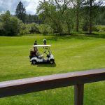 green grass with the flag in the hole.
