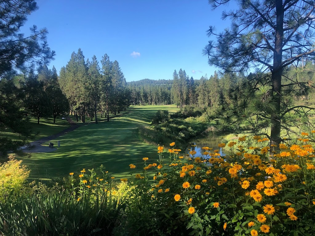 Panoramic view of a lush green golf course at Creek at Qualchan Golf Course. Smooth