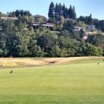 green grass with the flag in the hole.