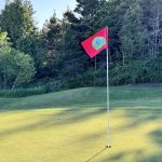 green grass with the flag in the hole.
