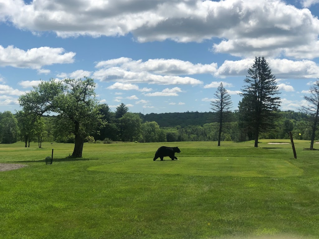 Panoramic view of a lush green golf course at Cricket Hill Golf Club. Smooth