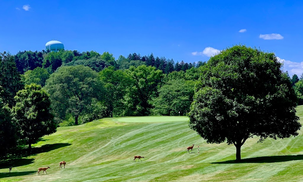 Panoramic view of a lush green golf course at Crispin Golf Course at Oglebay Resort. Smooth