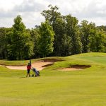 green grass with the flag in the hole.