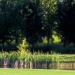 Panoramic view of a lush green golf course at Cross Creek Golf Course. Smooth