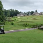 green grass with the flag in the hole.