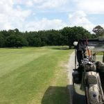 green grass with the flag in the hole.