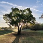 Panoramic view of a lush green golf course at Cypress Creek Golf Club. Smooth
