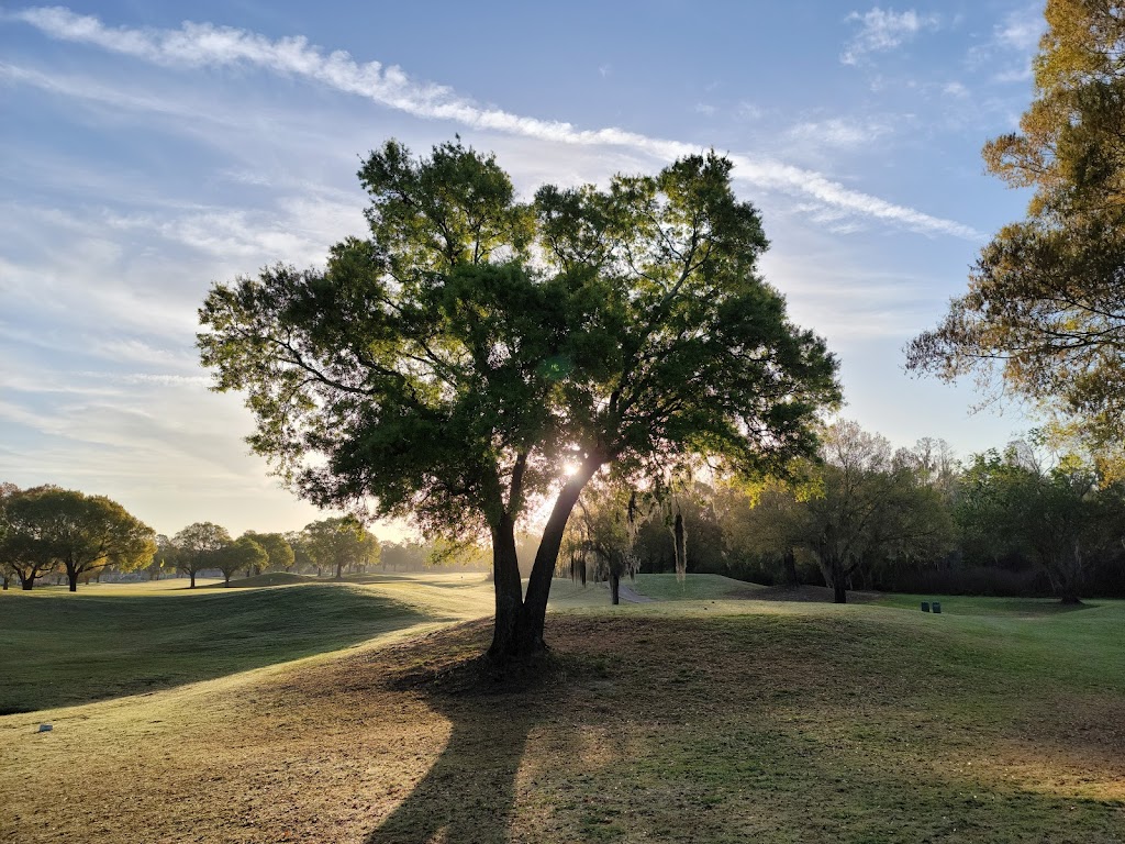 Panoramic view of a lush green golf course at Cypress Creek Golf Club. Smooth
