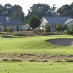 green grass with the flag in the hole.