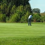 Panoramic view of a lush green golf course at Dalhousie Golf Club. Smooth